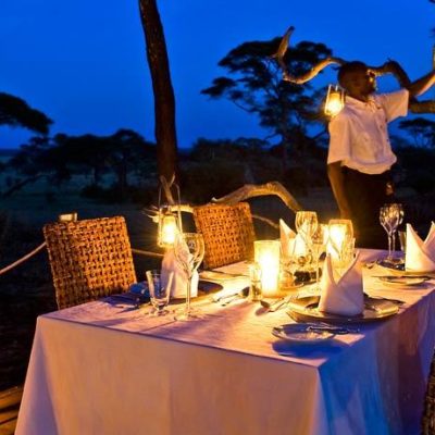 Africa tanzania tarangire national park sanctuary swala dining