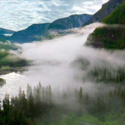 Great Bear Rainforest Credit Ian Mc Allister of Pacific Wild